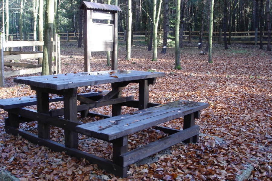 Arboretum Ždár