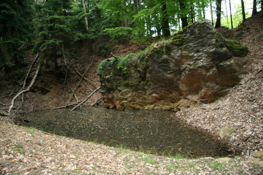 Krásy našich lesů